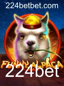 Explorando o Universo Divertido de FunnyAlpaca